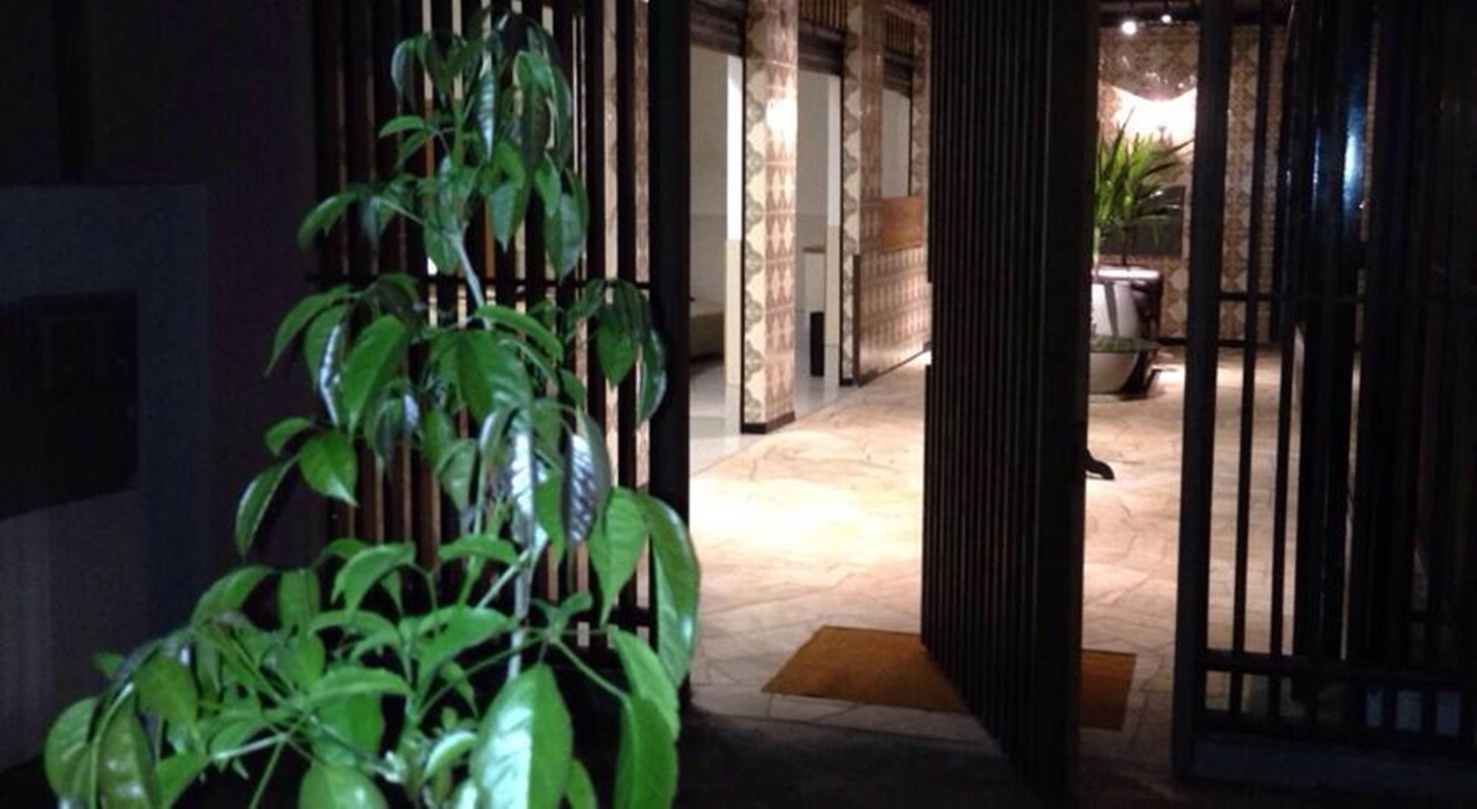 Vespasiano Hotel Telêmaco Borba المظهر الخارجي الصورة